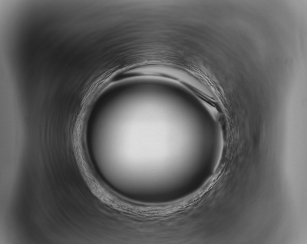 X0000087680001200705111310