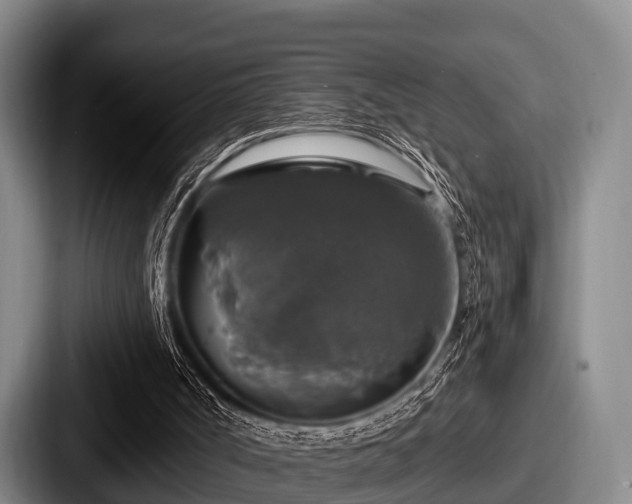 X0000087680002200705111310