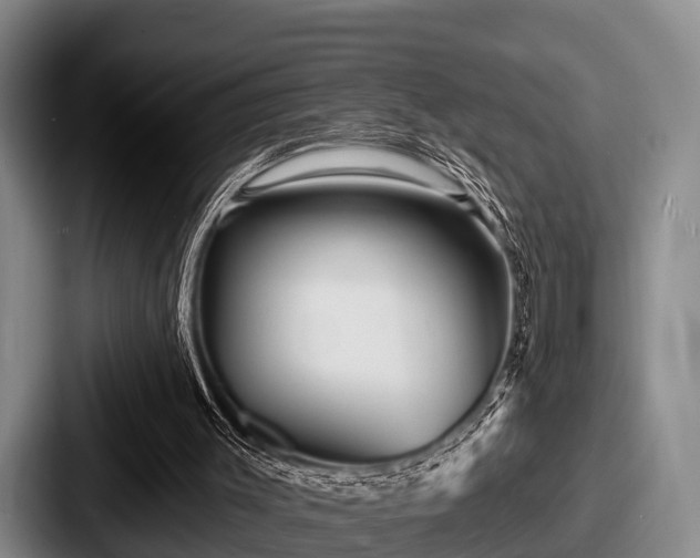 X0000087680003200705111310