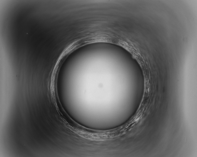 X0000087680004200705111310