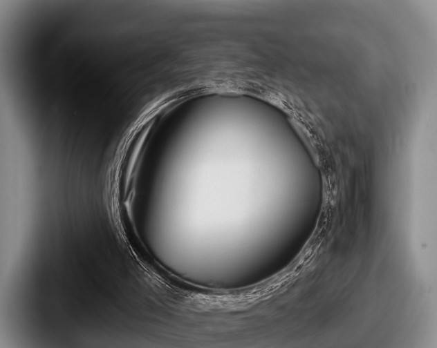 X0000087680005200705111310