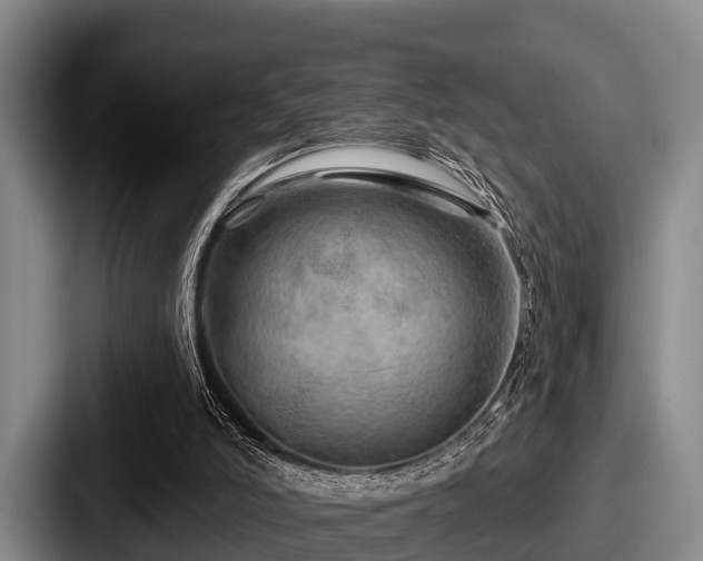 X0000087680006200705111310