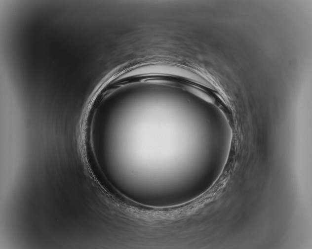 X0000087680007200705111310