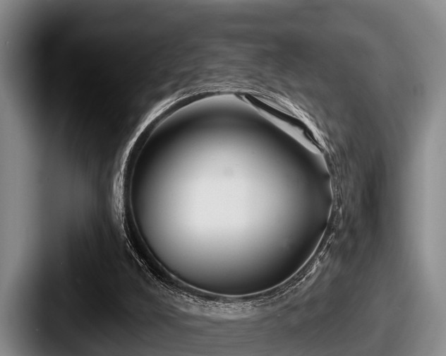 X0000087680008200705111309