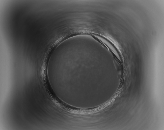 X0000087680009200705111309