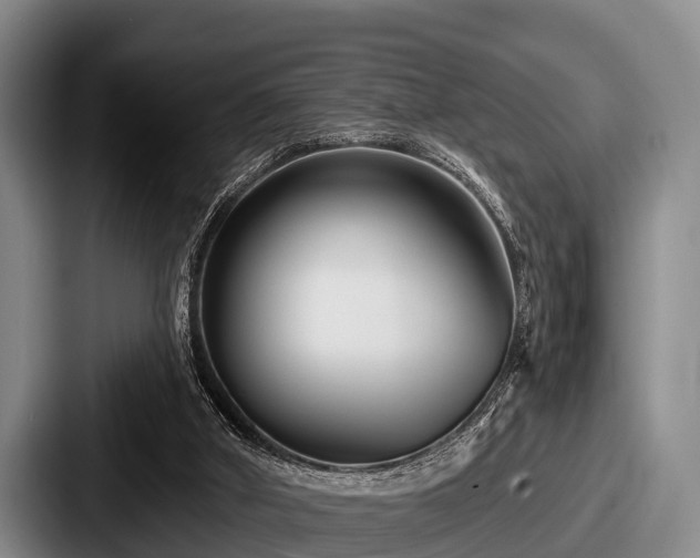 X0000087680010200705111309