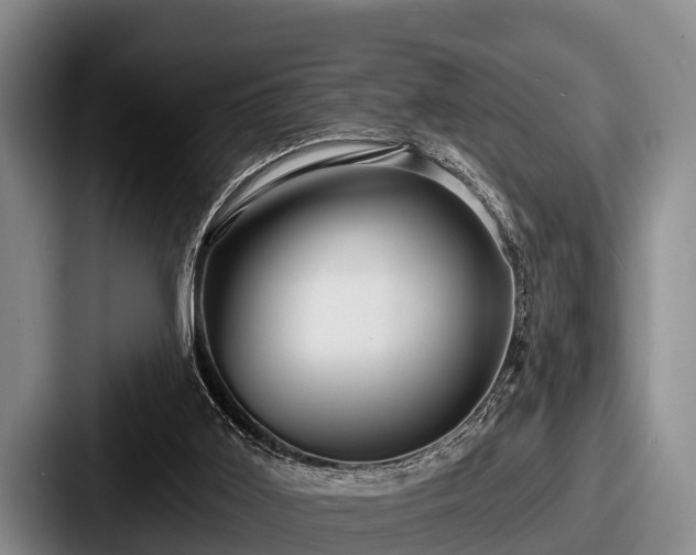 X0000087680011200705111309