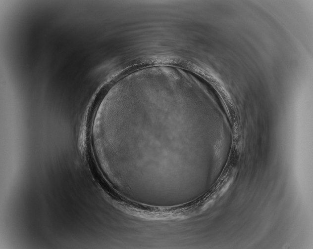 X0000087680012200705111309