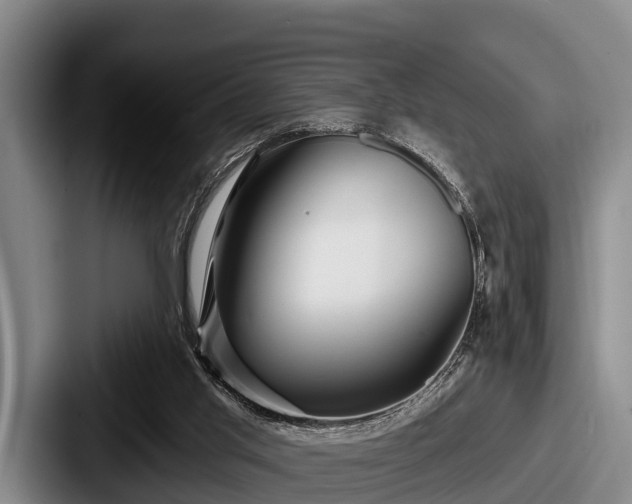 X0000087680013200705111309