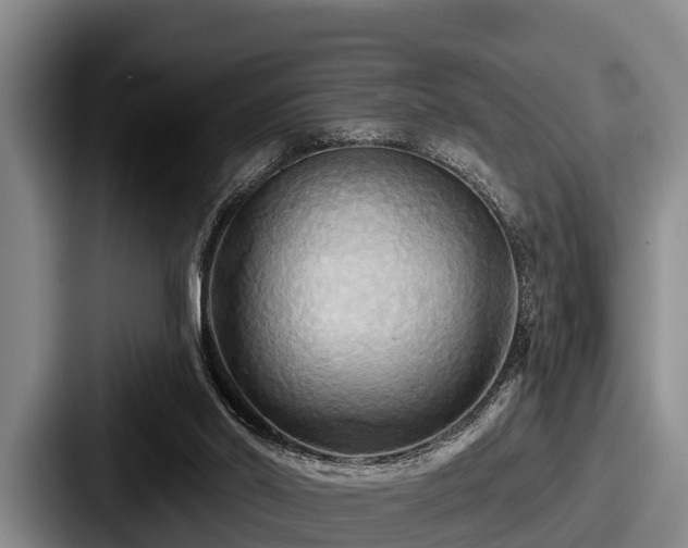 X0000087680014200705111309