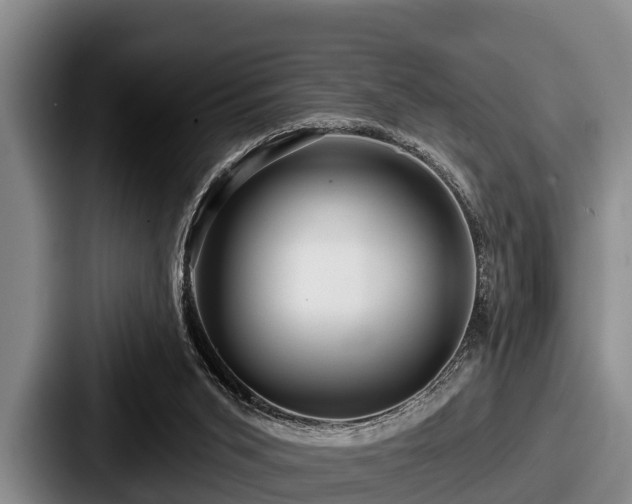 X0000087680015200705111309