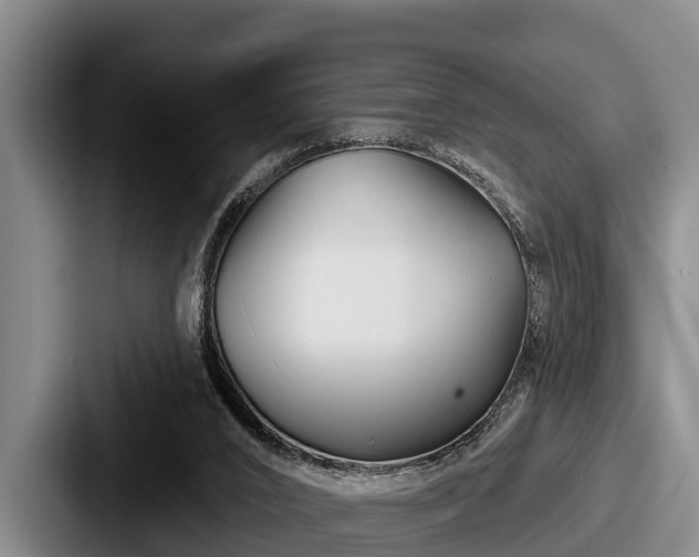 X0000087680016200705111309