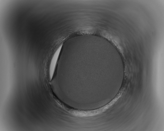 X0000087680017200705111309