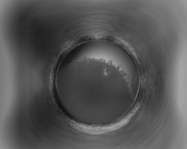 X0000087680018200705111309