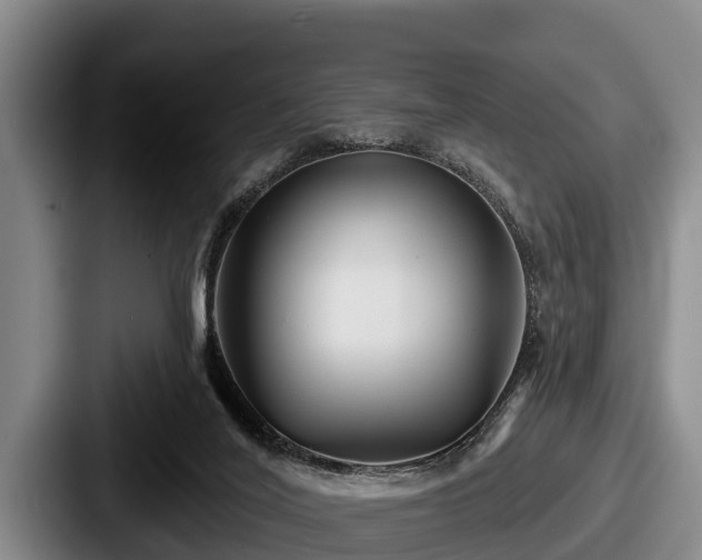 X0000087680020200705111309