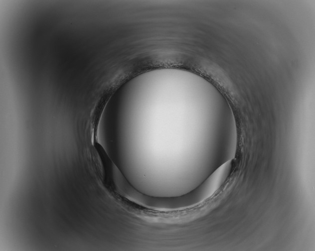 X0000087680021200705111309