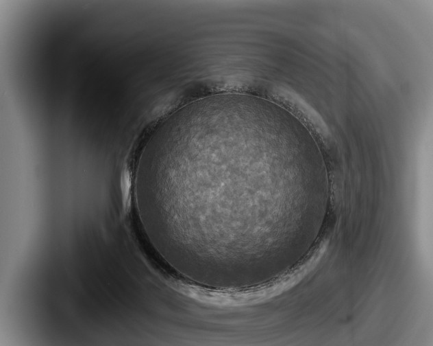 X0000087680022200705111309