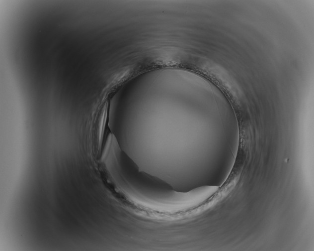 X0000087680023200705111309