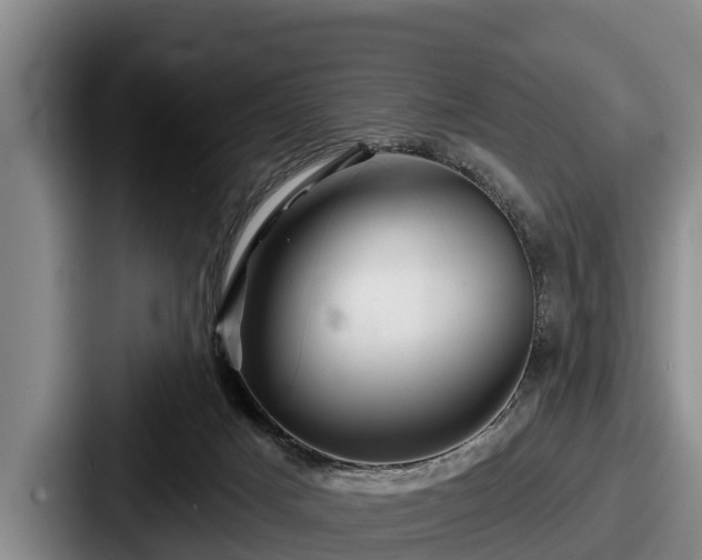 X0000087680025200705111309