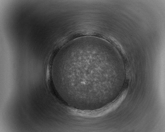 X0000087680026200705111309