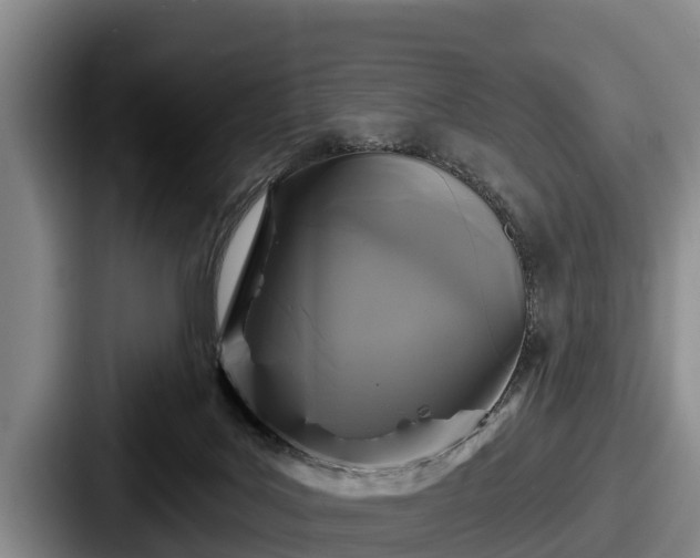 X0000087680027200705111309