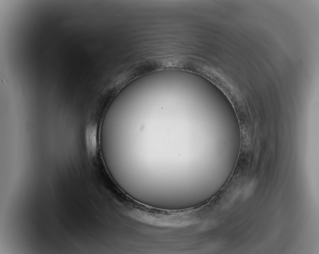 X0000087680028200705111309