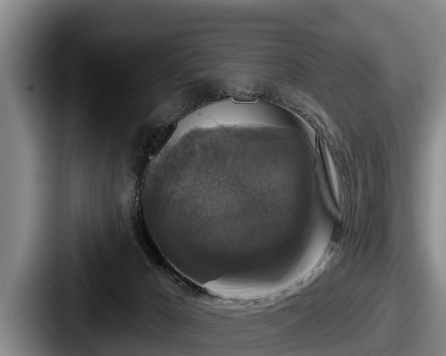 X0000087680029200705111309