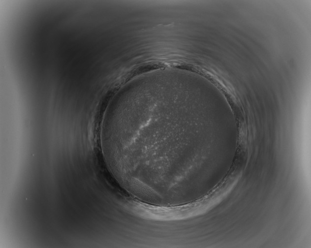 X0000087680030200705111309