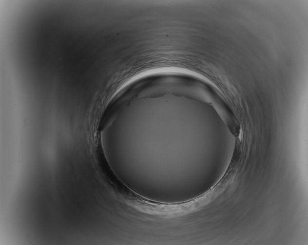 X0000087680031200705111309