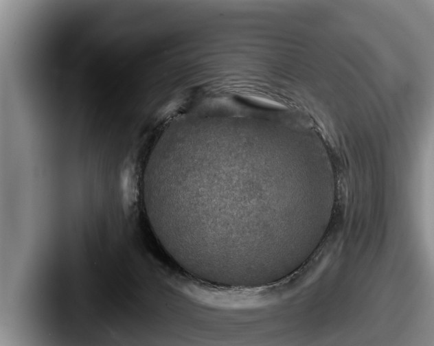 X0000087680032200705111309