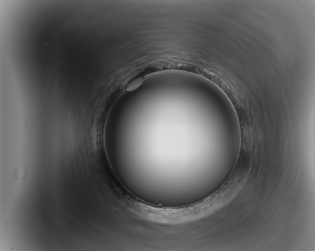 X0000087680034200705111309