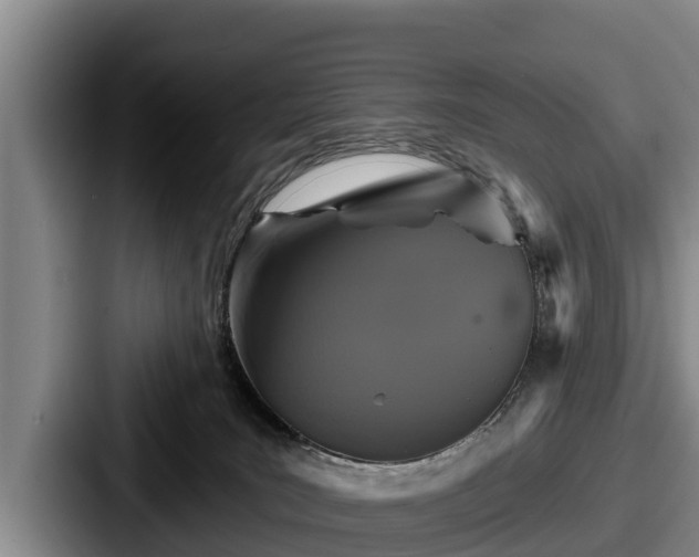 X0000087680035200705111309