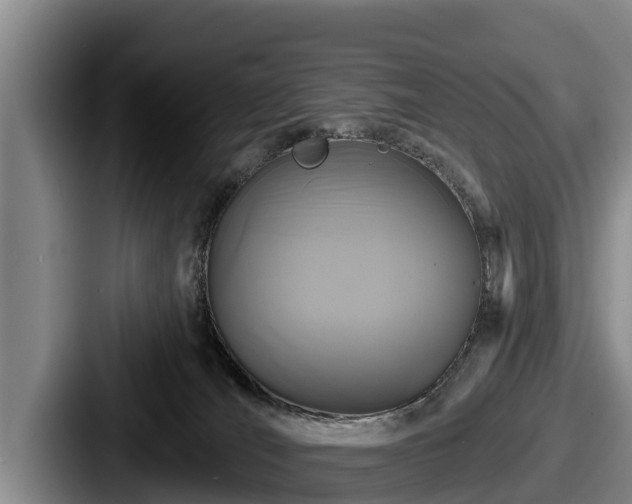 X0000087680036200705111309