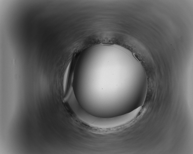 X0000087680037200705111309