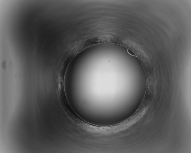 X0000087680038200705111309