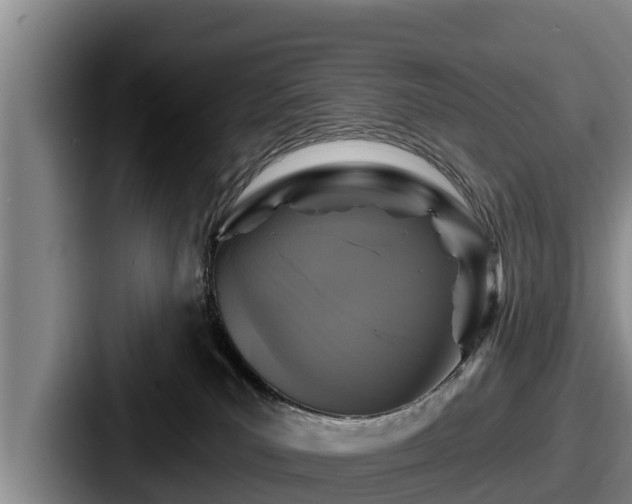 X0000087680039200705111309