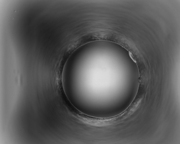 X0000087680040200705111309