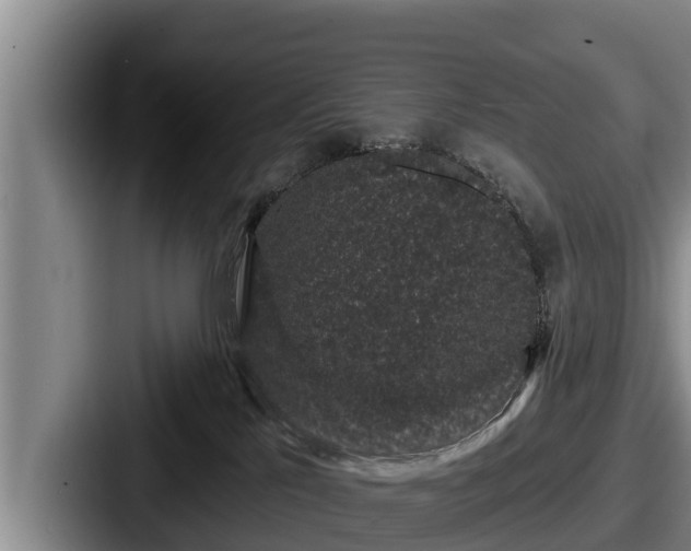 X0000087680041200705111309