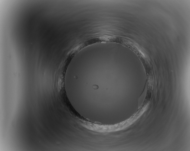 X0000087680043200705111309