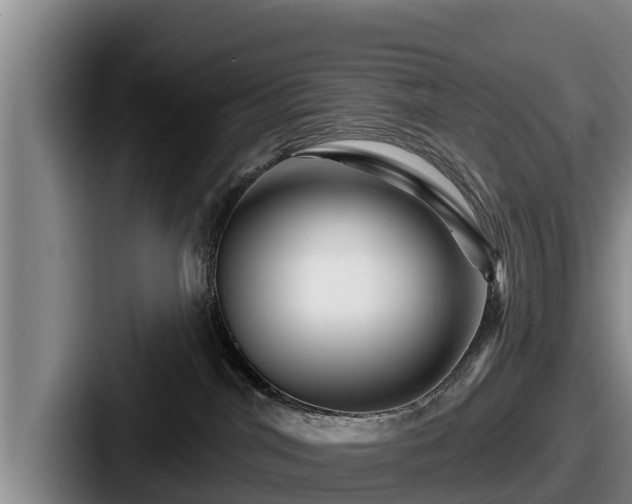 X0000087680044200705111309