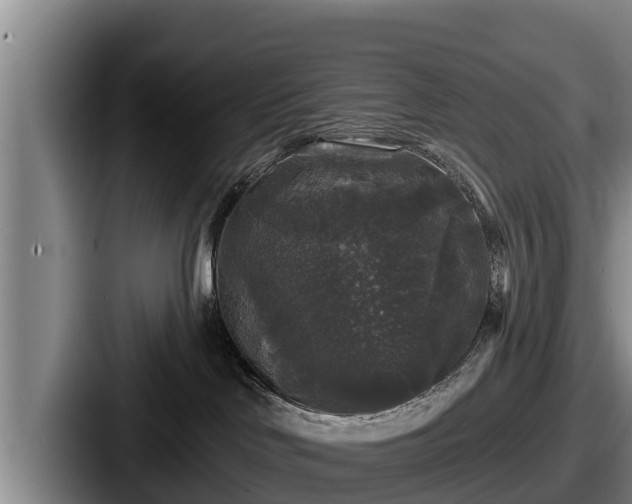 X0000087680046200705111309