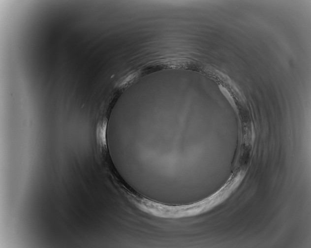 X0000087680047200705111309