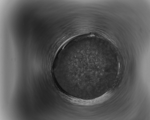 X0000087680048200705111309