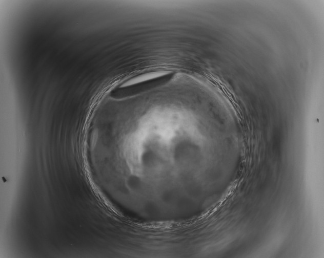 X0000087680049200705111308