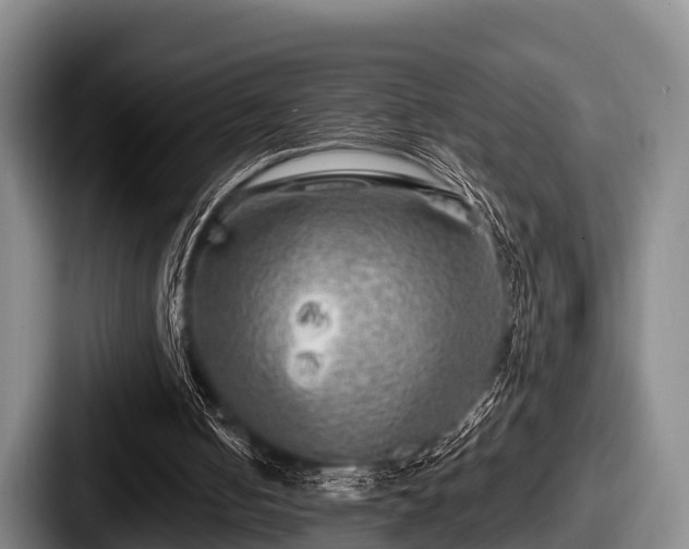 X0000087680050200705111308