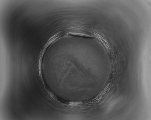 X0000087680051200705111308