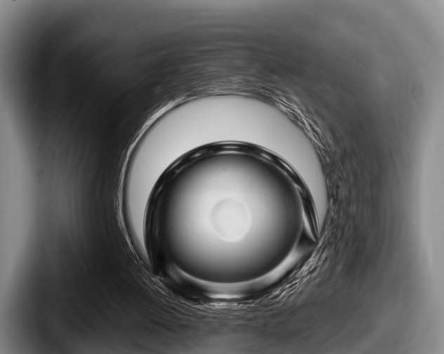 X0000087680052200705111308