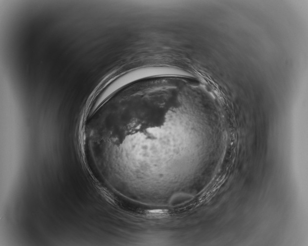 X0000087680053200705111308