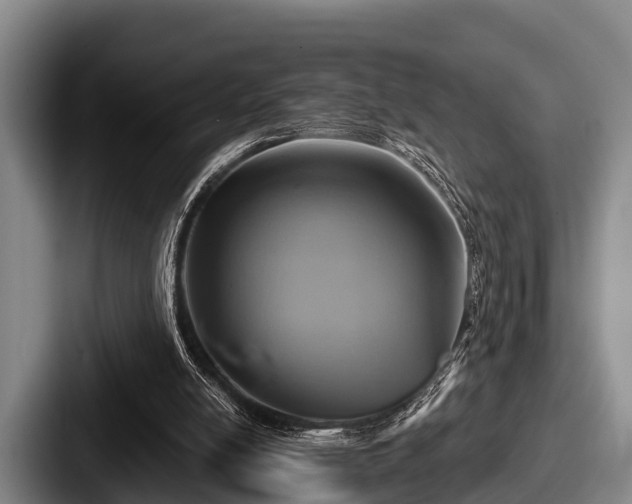 X0000087680054200705111308