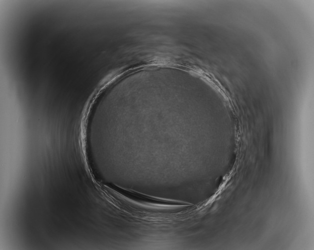 X0000087680055200705111308